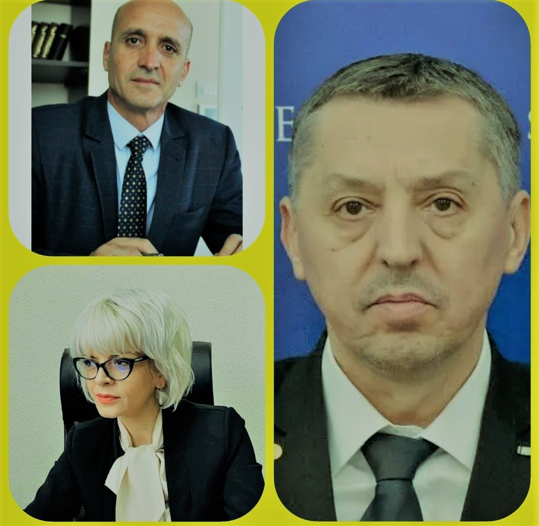 sorin ion, daniel david, ioana lazar